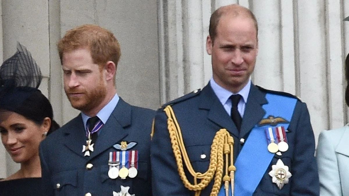 prince william dteste