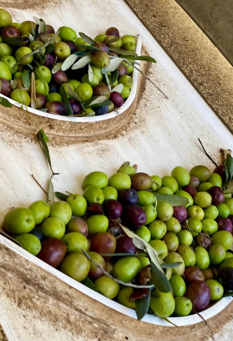 fake olive oil