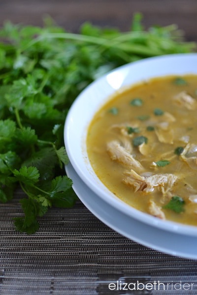 healthy chicken poblano