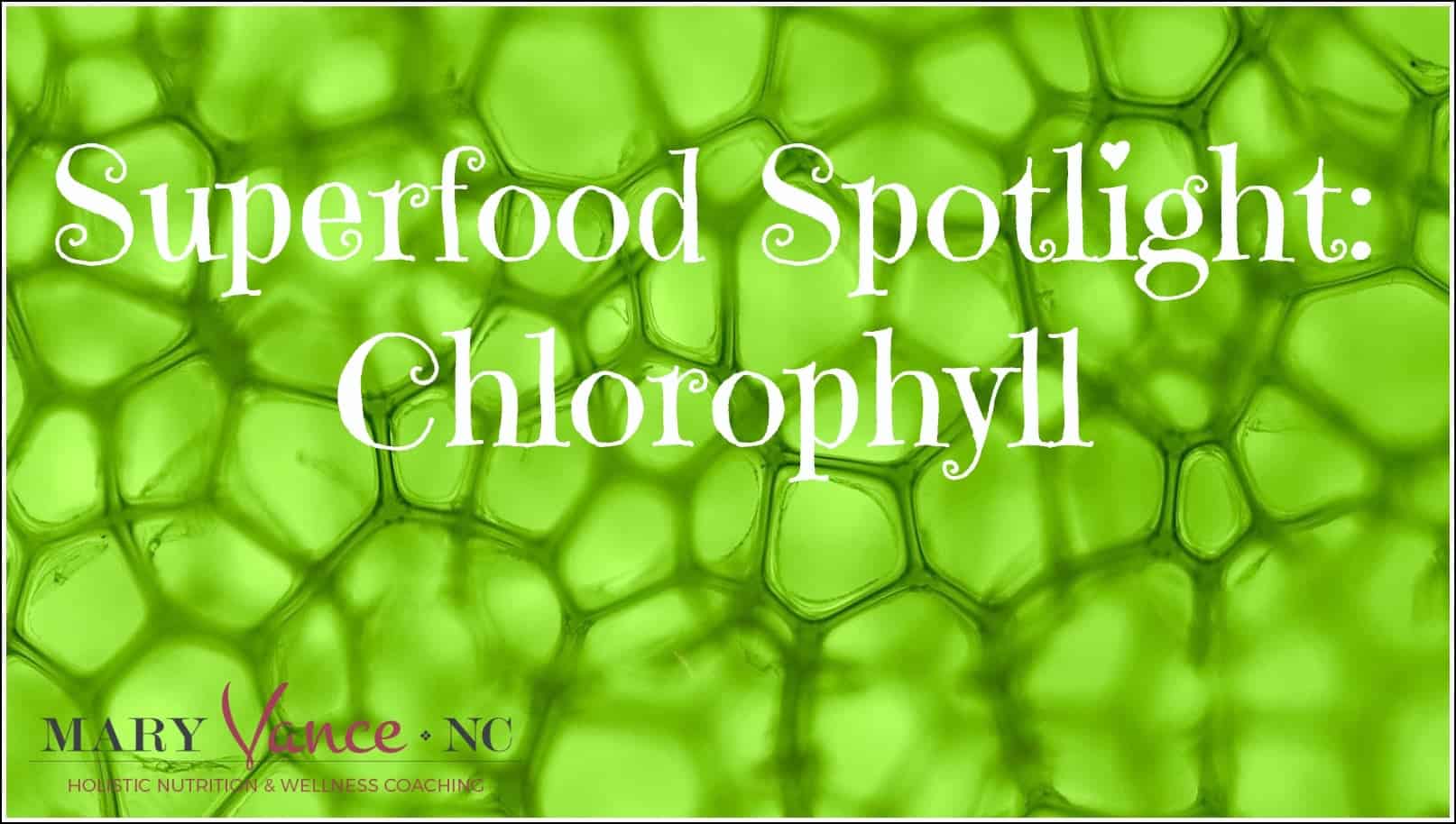 superfood spotlight chlorophyll