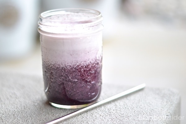 blueberry collagen probiotic