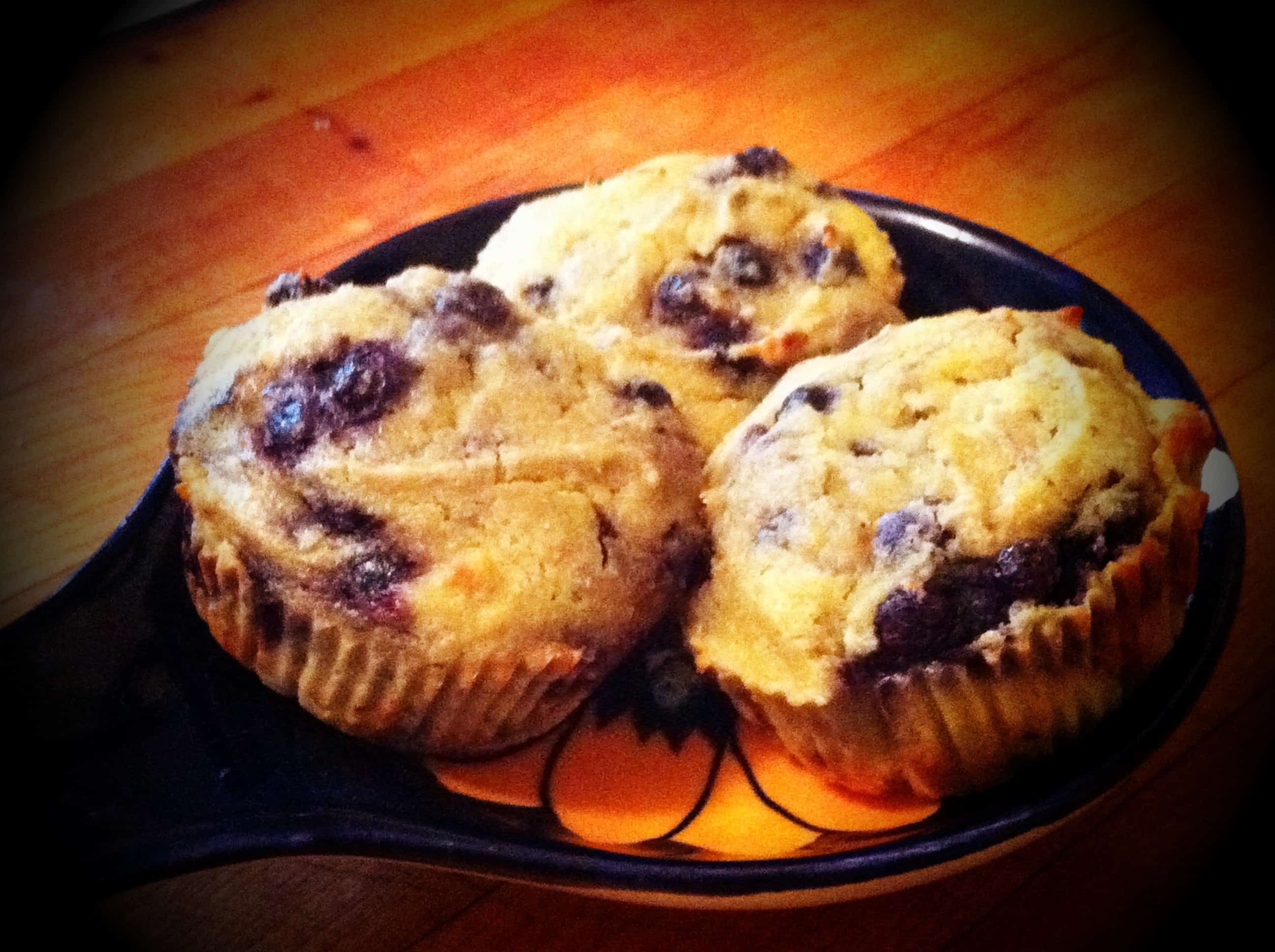 blueberry coconut flour