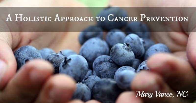 holistic approach cancer