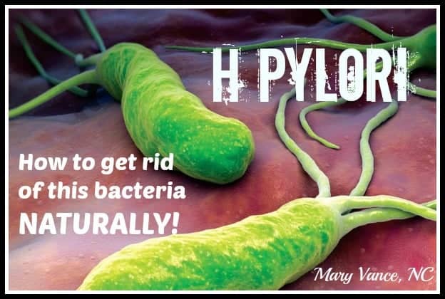 get rid pylori