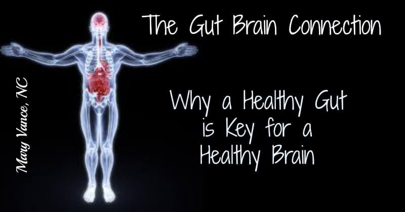 healthy gut key