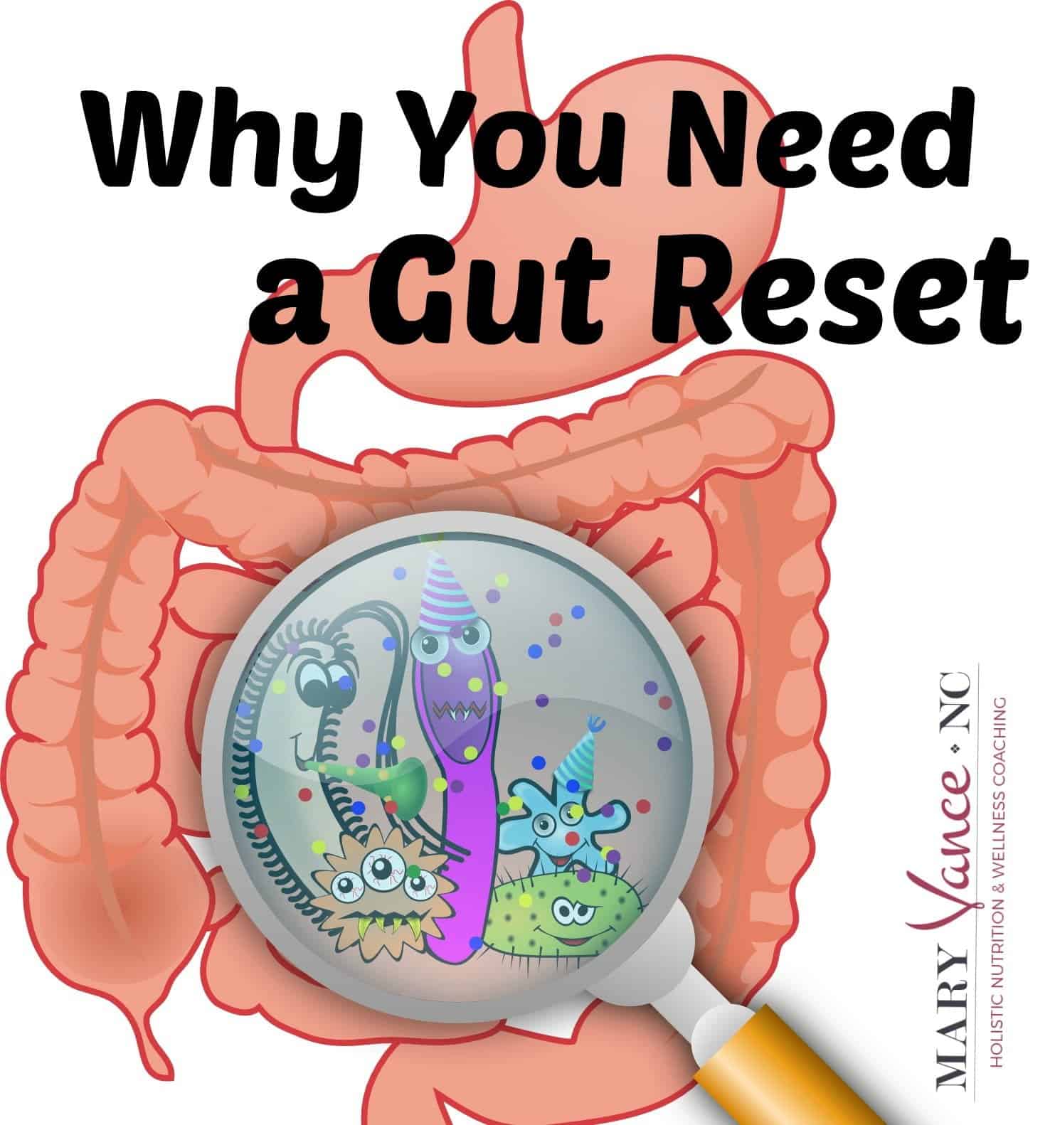 you need gut