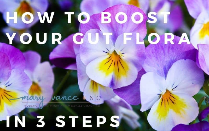 boost your gut
