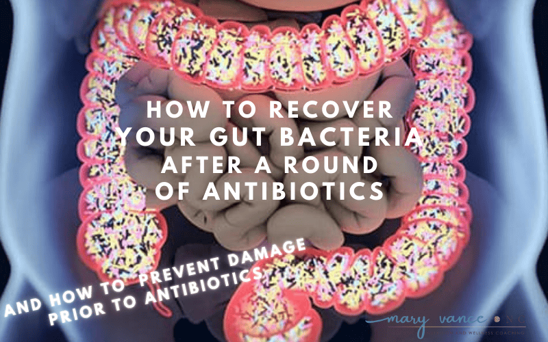 recover your gut