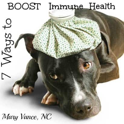 ways boost immune