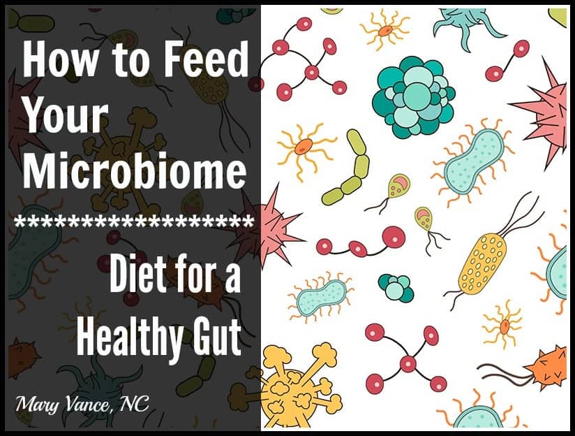 feed your microbiome