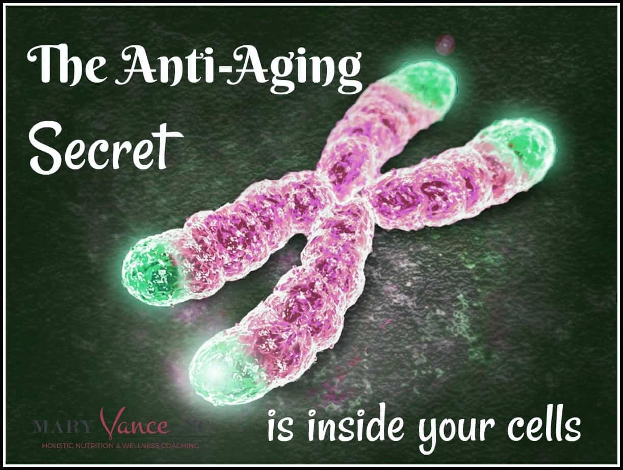 stay young antiaging