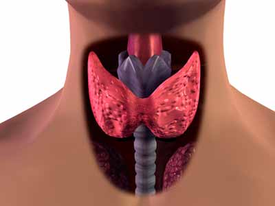 hashimotos thyroiditis causes