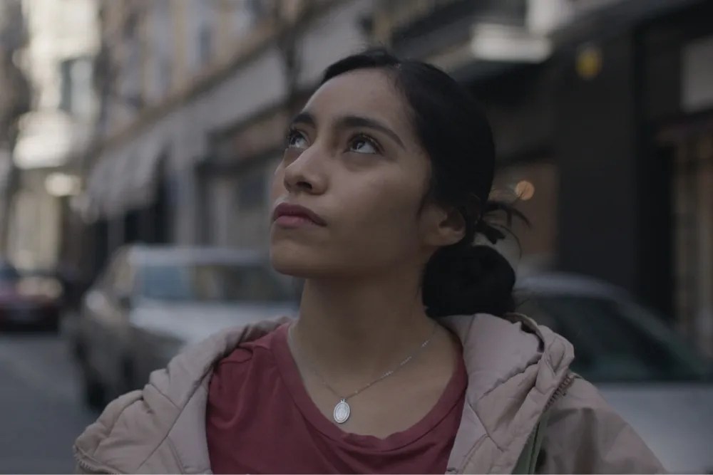 watermelon pictures acquires