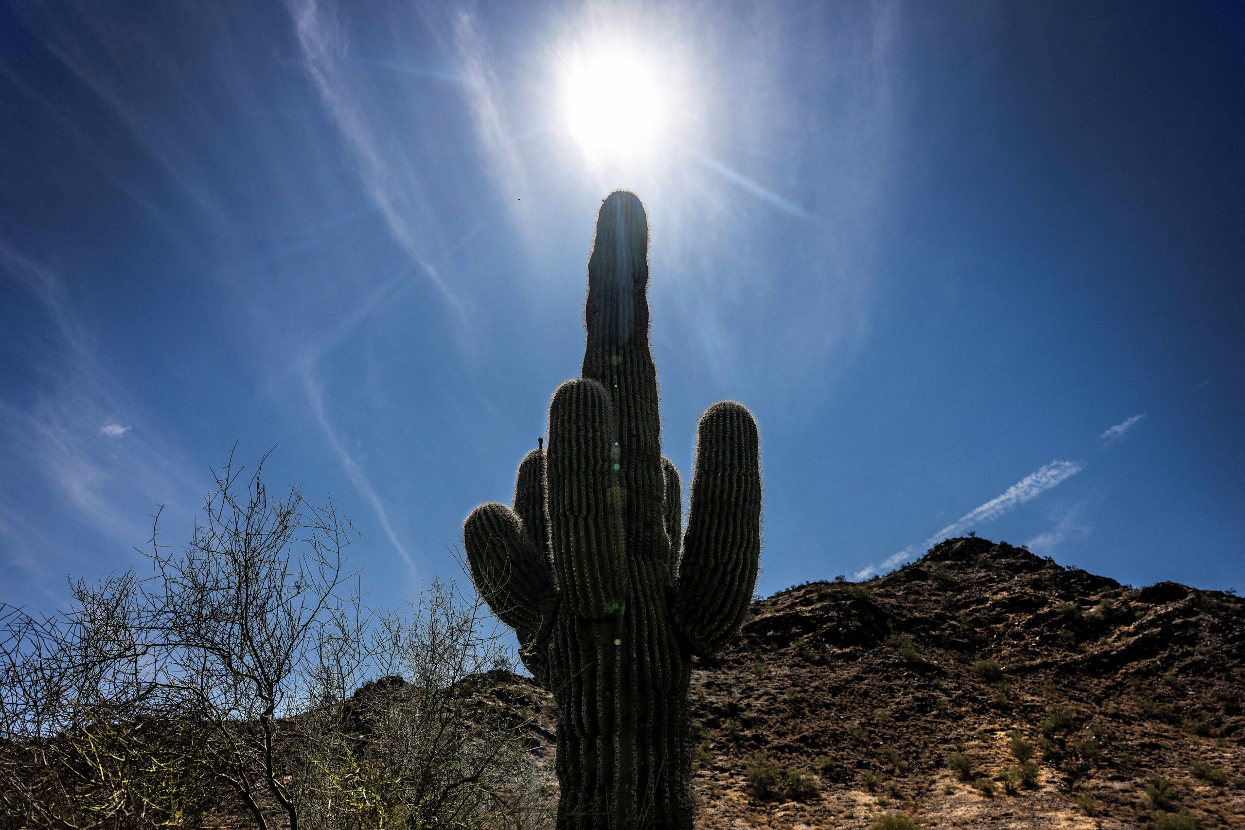 netflix heads arizona