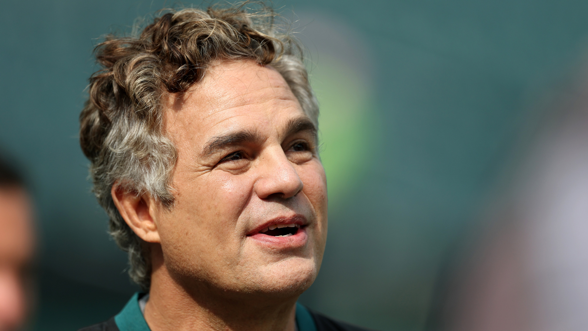 mark ruffalo links