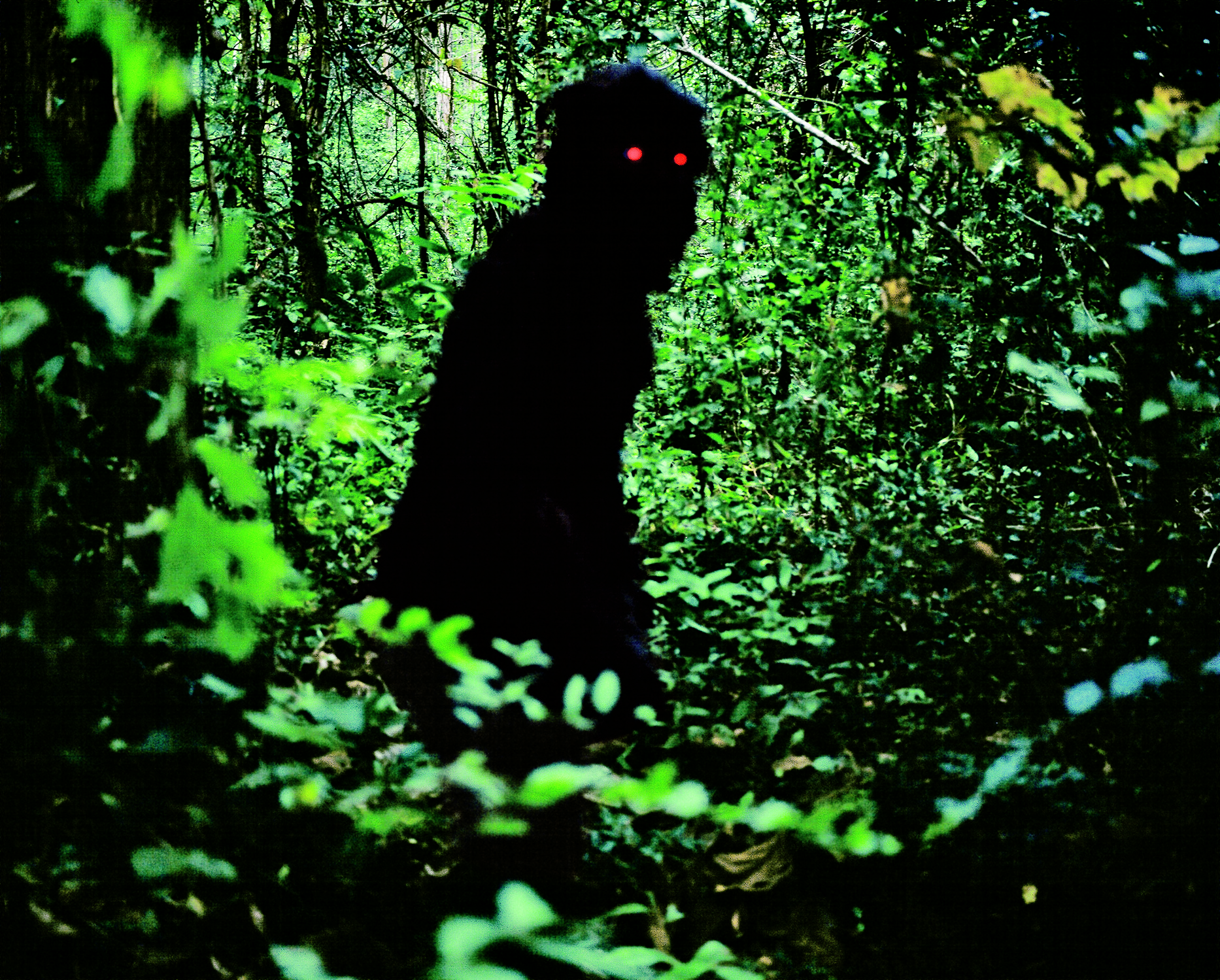 restored apichatpong weerasethakul