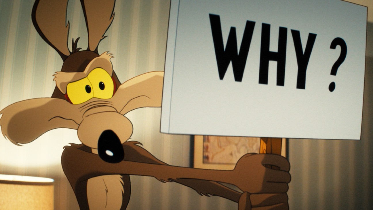 coyote acme snags