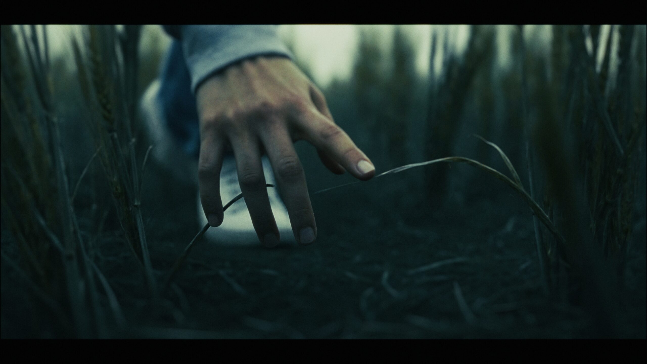 promise developing horror