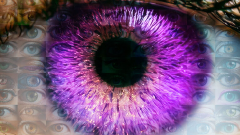 big brother gets