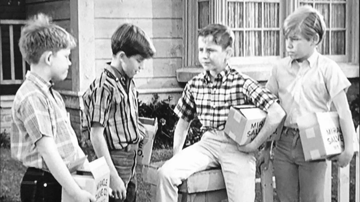 andy griffith show