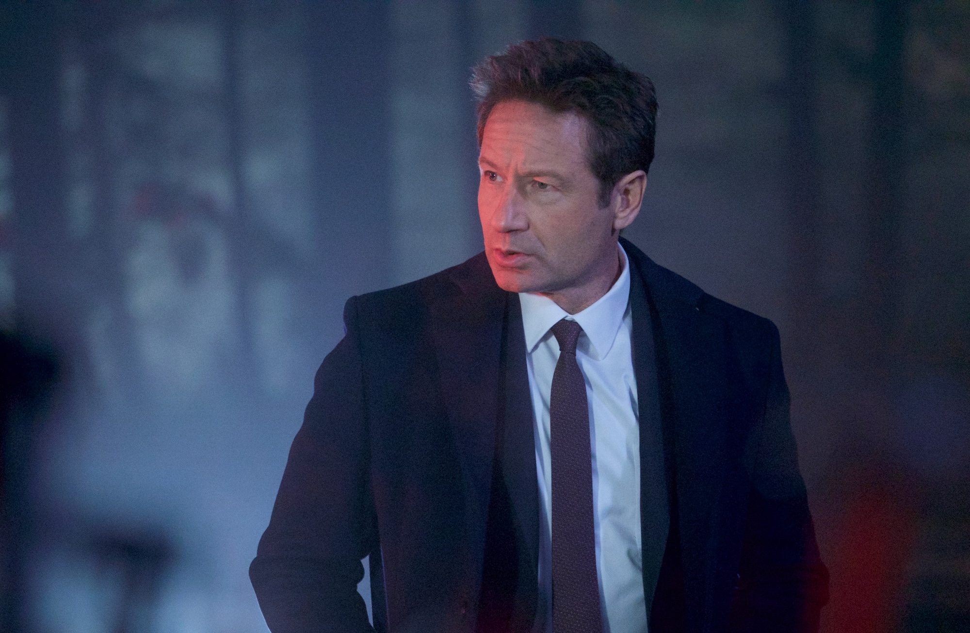 david duchovny addresses
