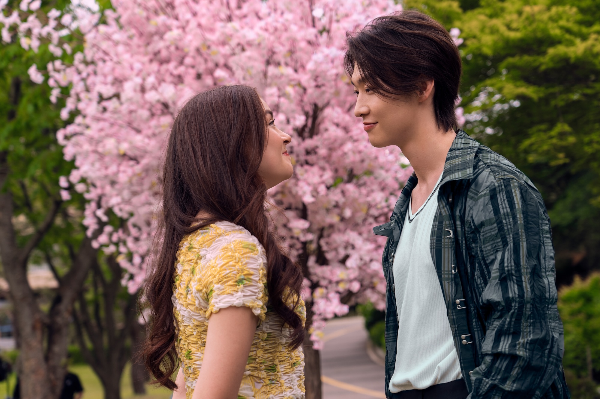 netflix reveals premiere