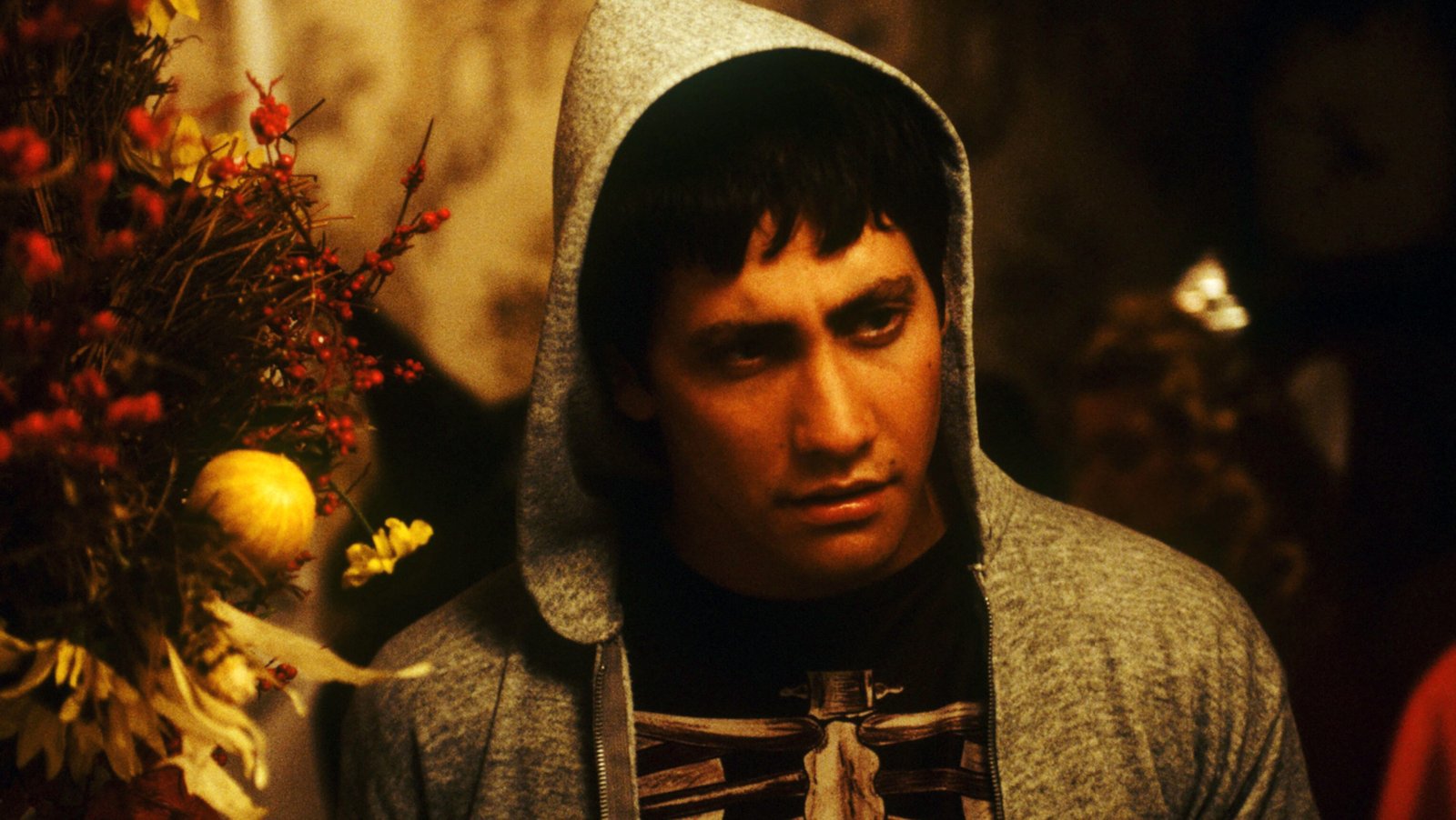 donnie darko thrs