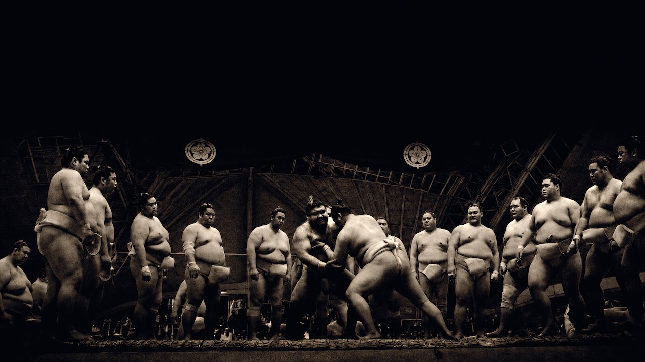 sumo spirit weighs