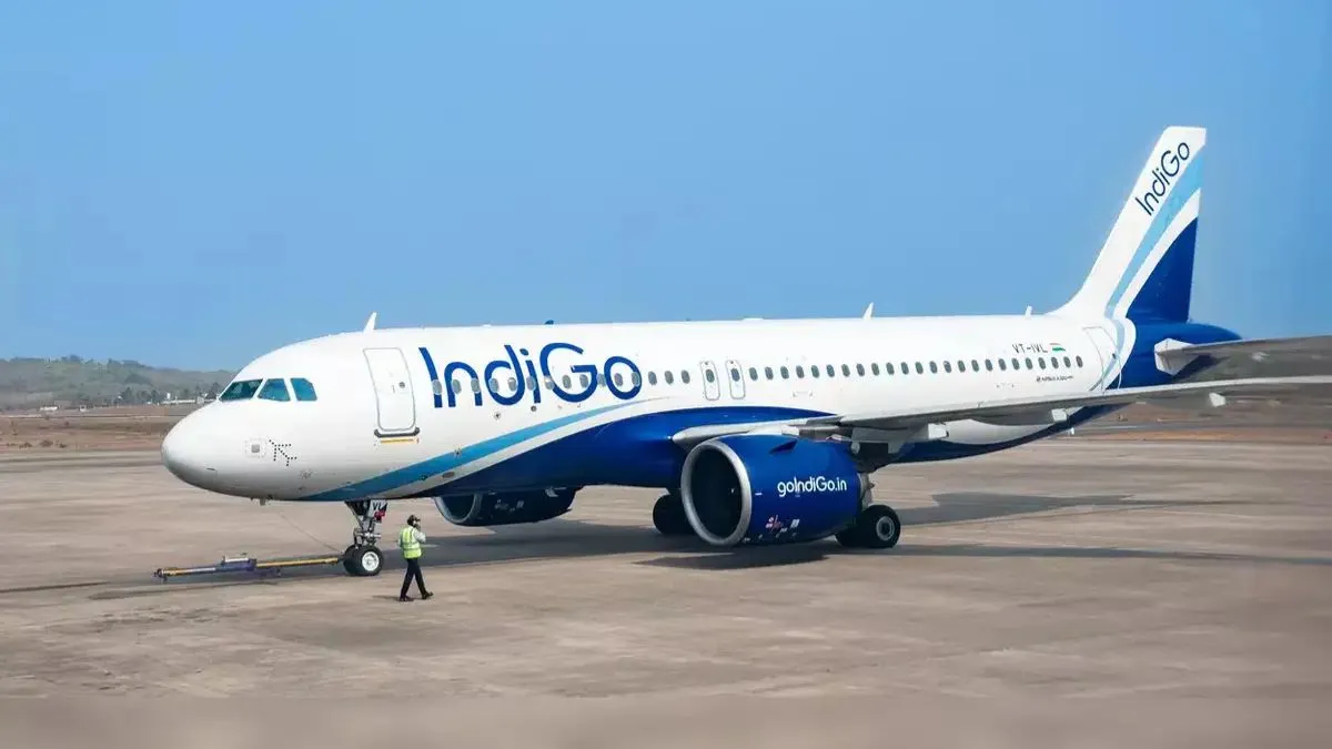 indigo 382