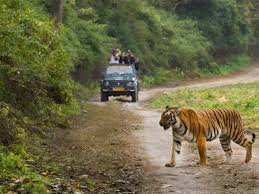कालागढ़ कोर जोन में काबिज अतिक्रमणकारी उप्र की जवाबदेही: उत्तराखंड