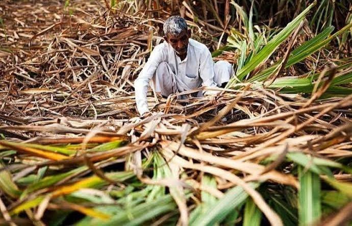तीन नवंबर को प्रदेशभर में प्रदर्शन करेंगे किसान