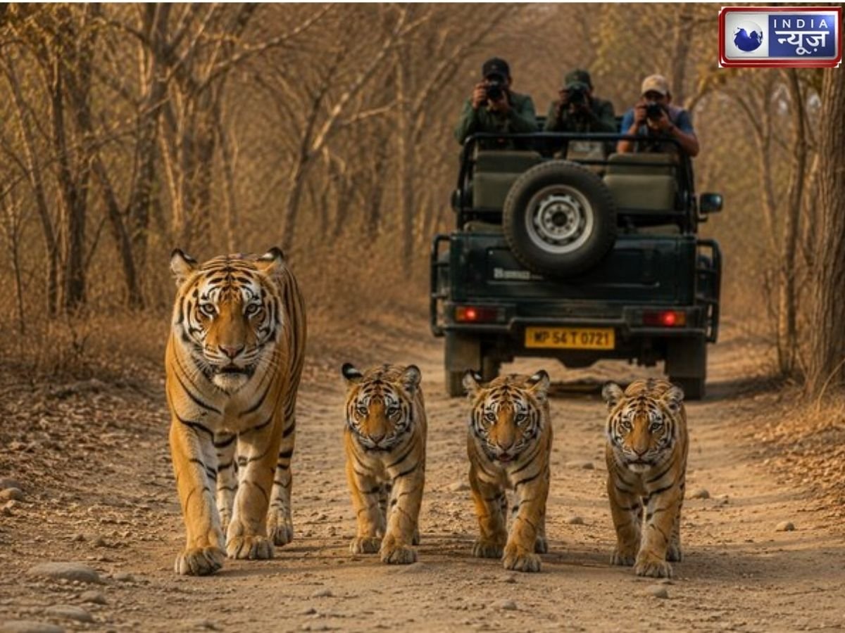ranthambore tiger reserve