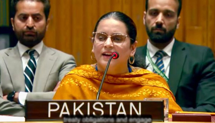 بھارت کا امن کا درس دینا مضحکہ خیز ہے، جموں و کشمیر نہ اُس کا اٹوٹ انگ ہے اور نہ داخلی معاملہ، پاکستان