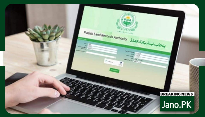 جائیداد کے معاملات
