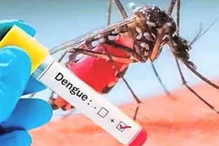 راولپنڈی میں ڈینگی