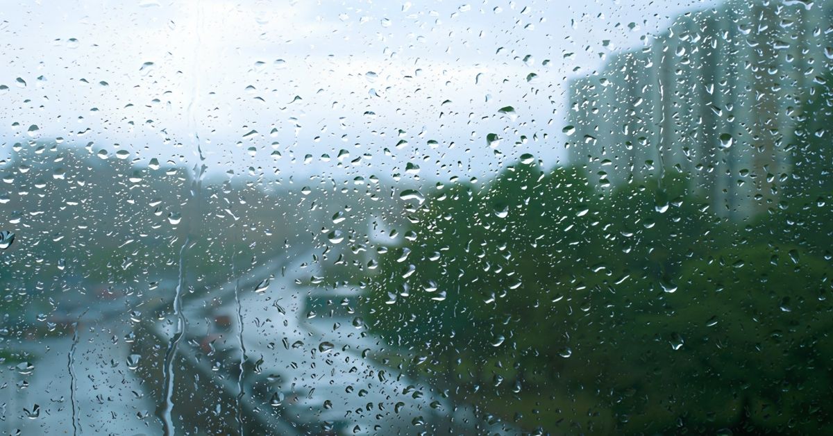 خیبر پختونخوا کے