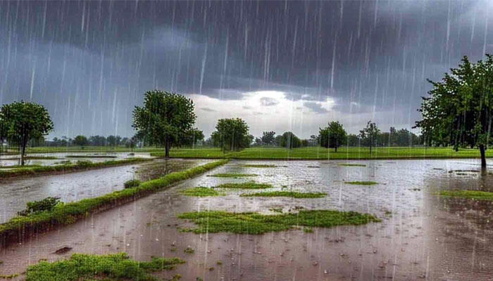 بارشوں کے حوالےسےمحکمہ