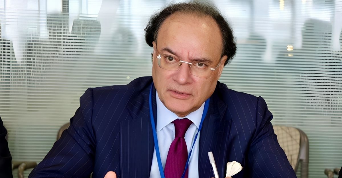 وزیر خزانہ محمد