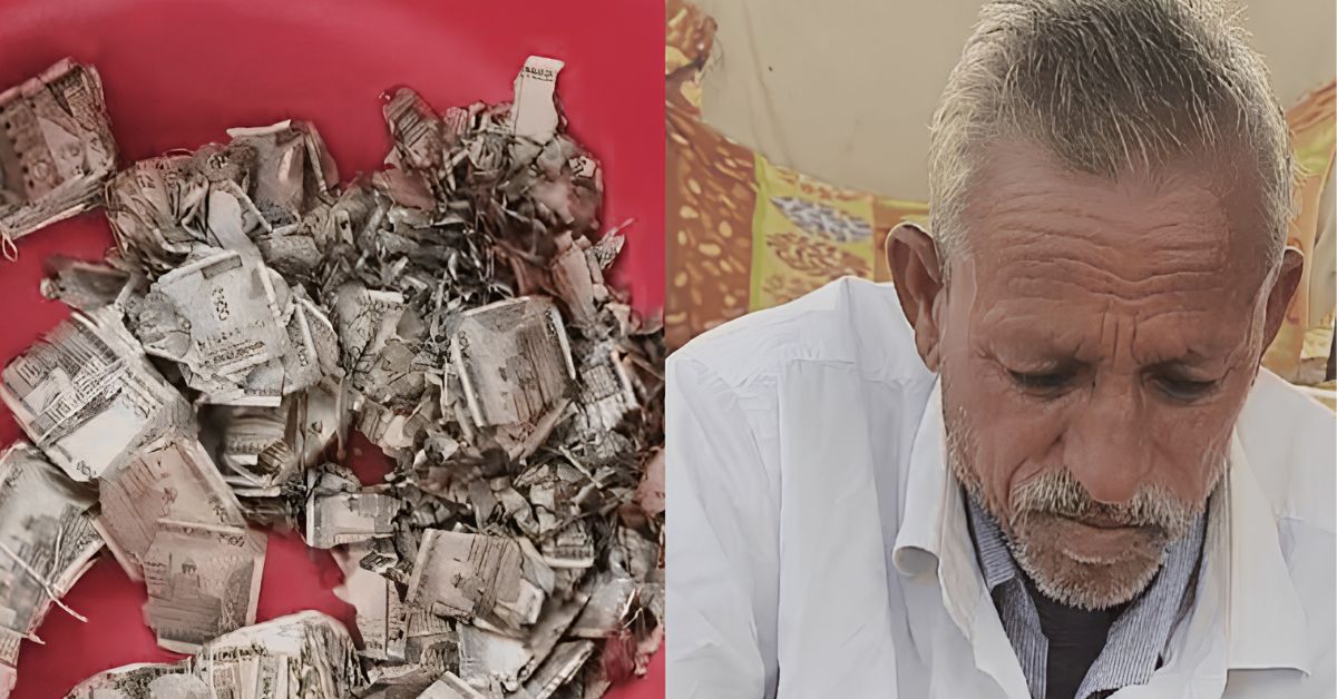 کھیت میں چھپائے