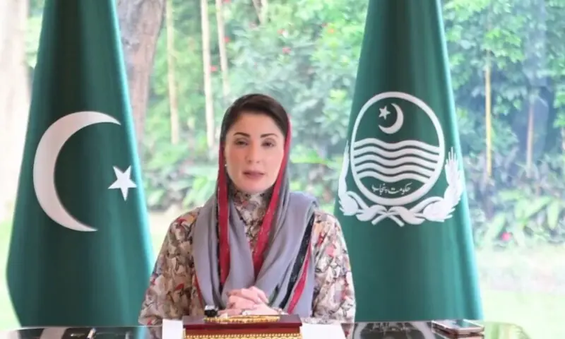 punjab engages pmln