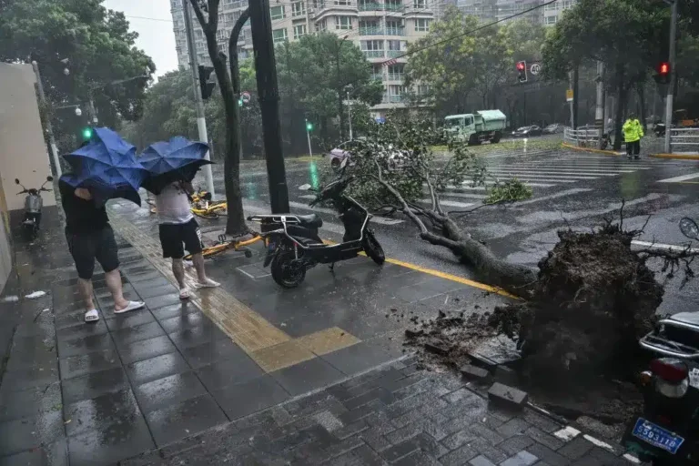 typhoon bavi hits