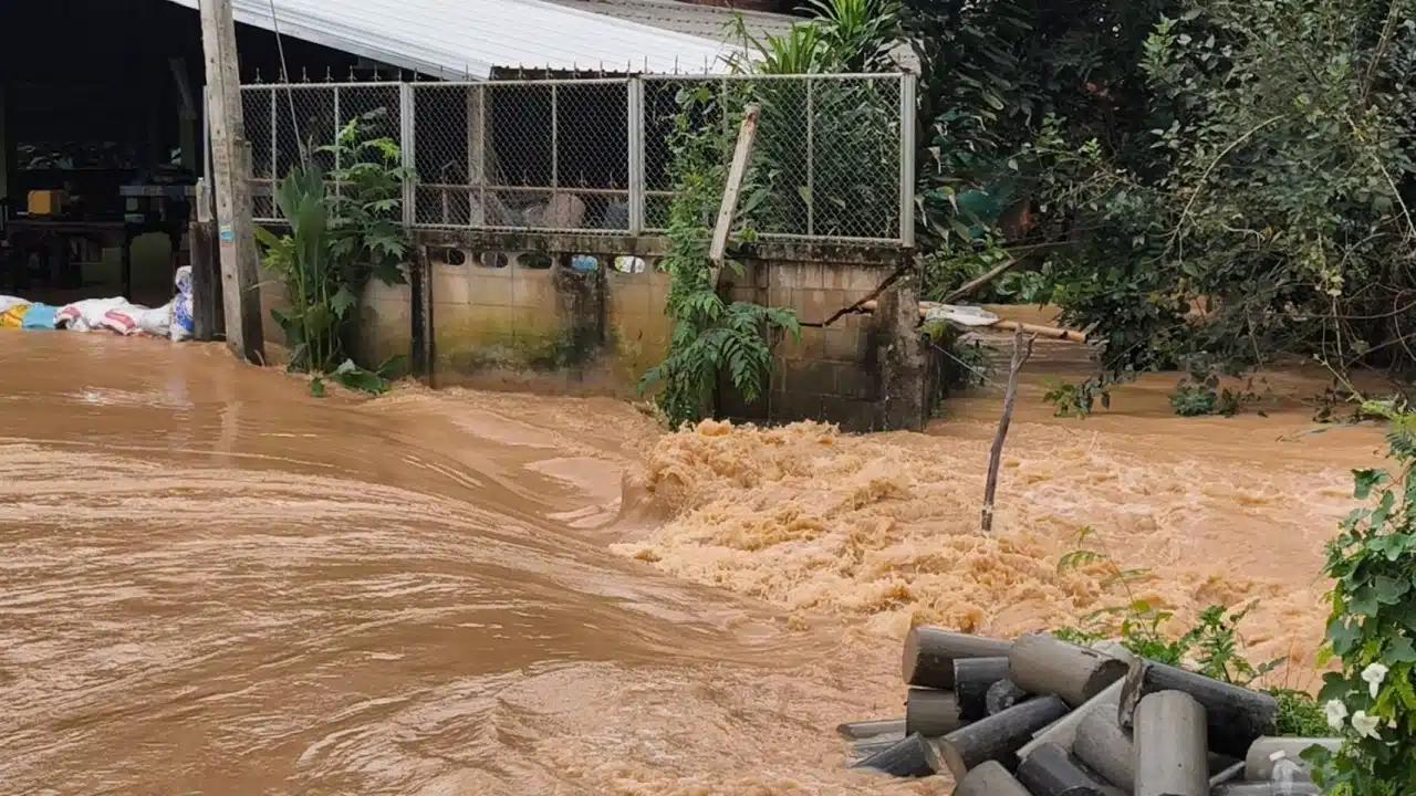 flash floods strike