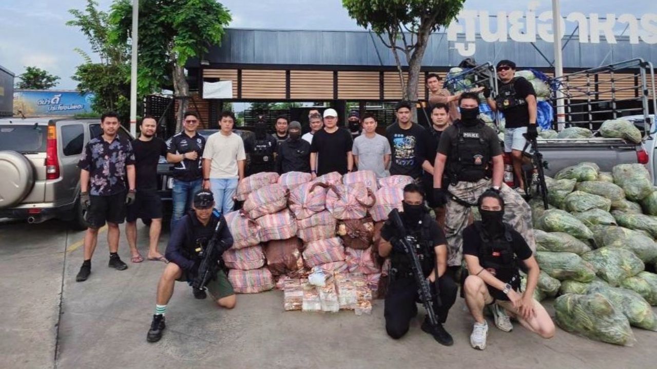 huge drug bust