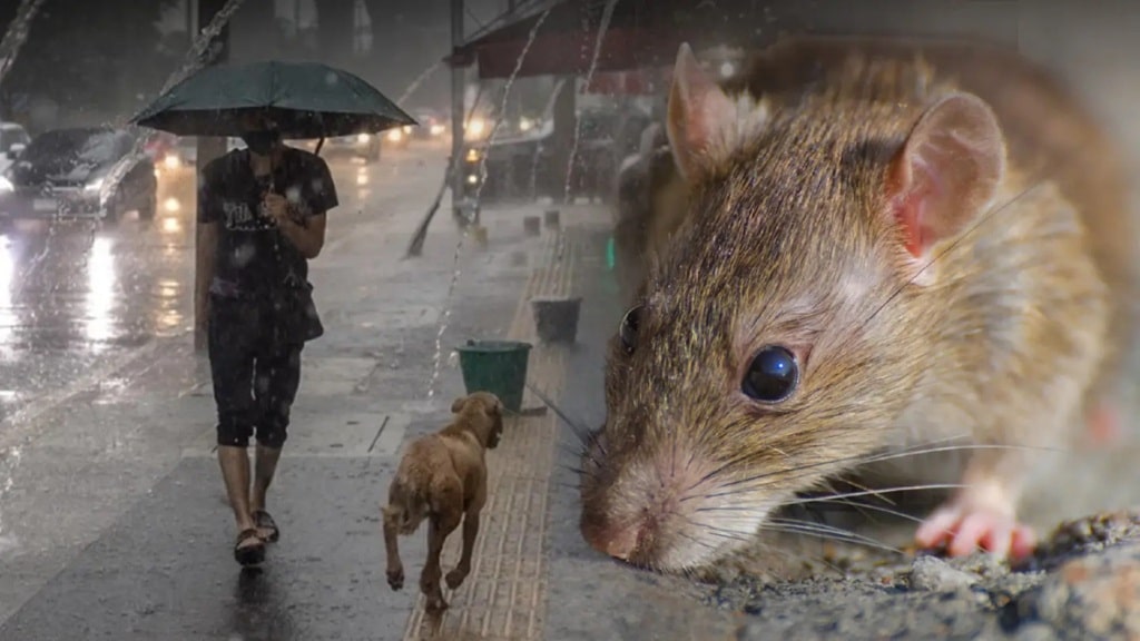 thailand8217s ddc warns