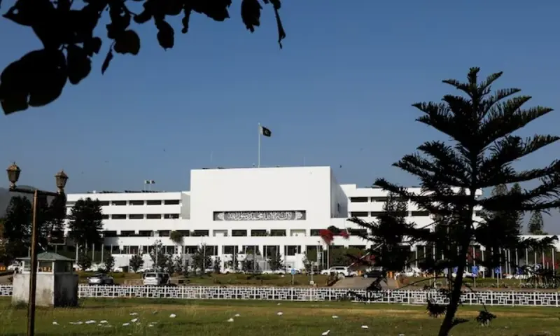 report urges stronger