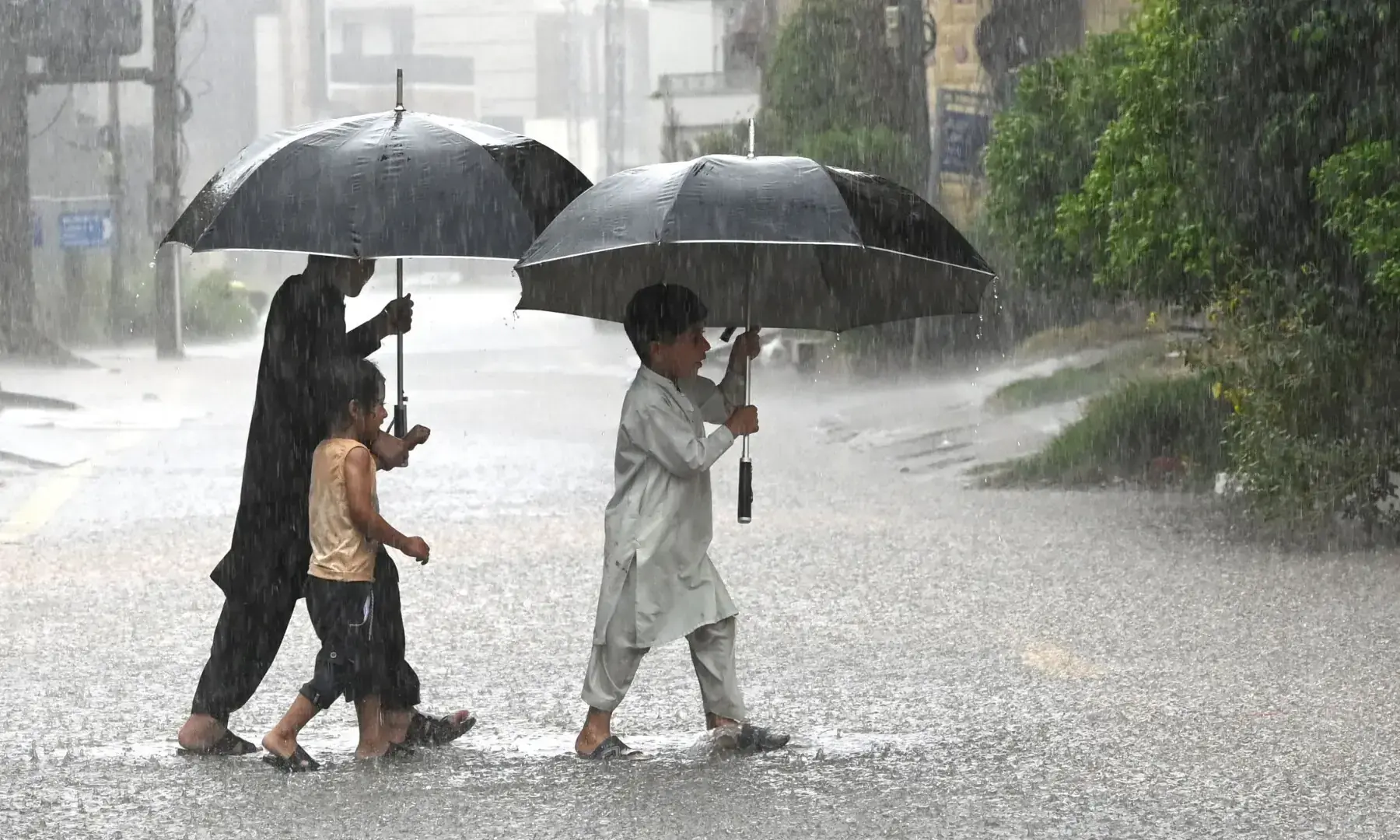 fresh monsoon spell
