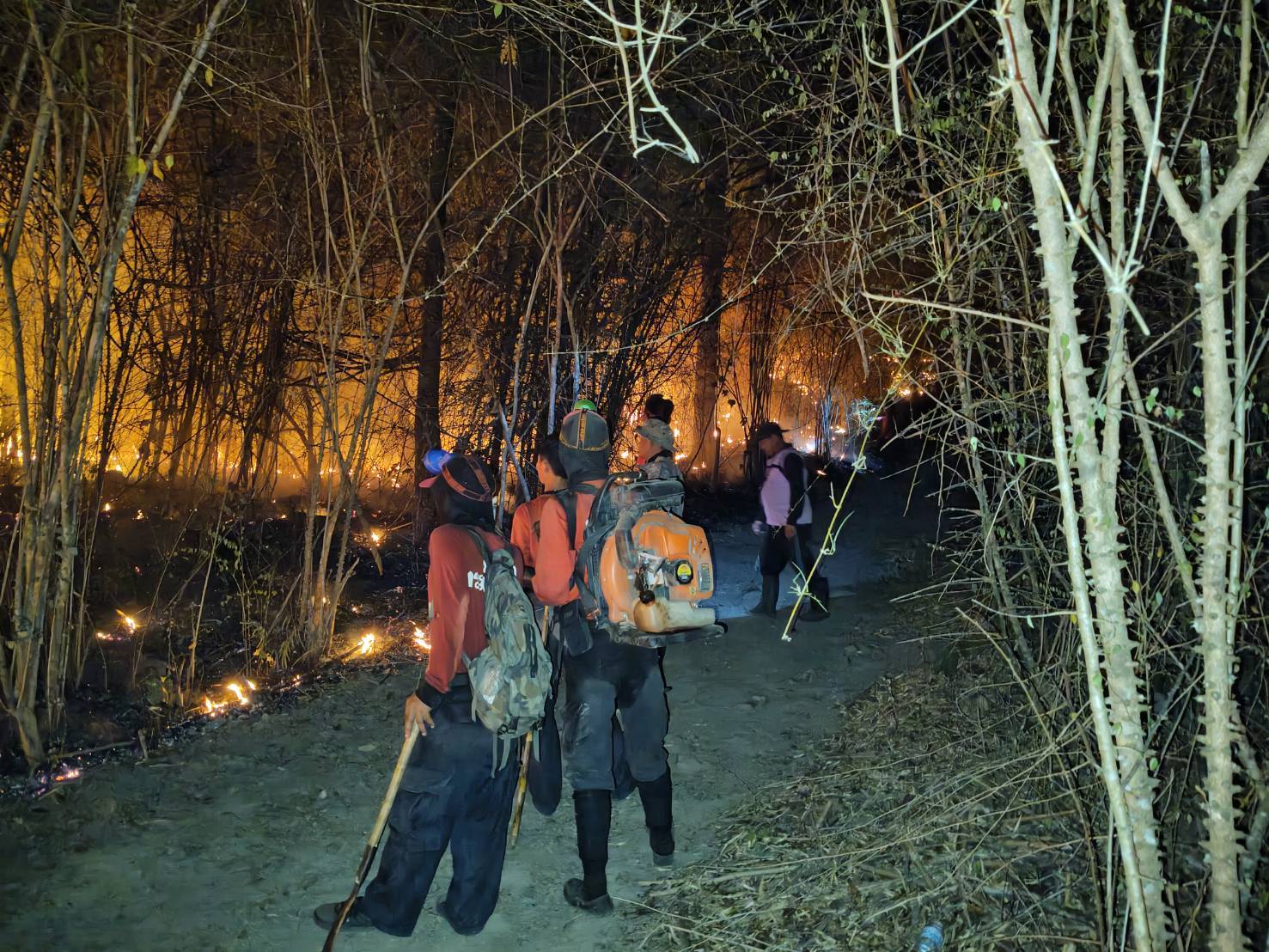 wildfires destroy over