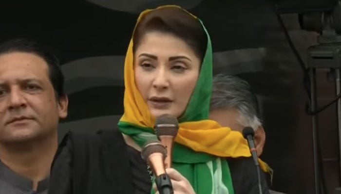 ppp leader nadeem