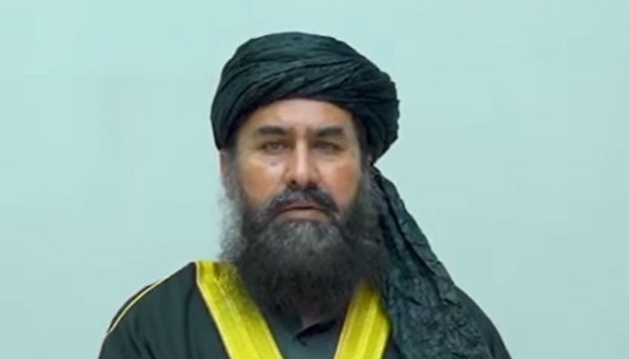 militant facilitator mufti