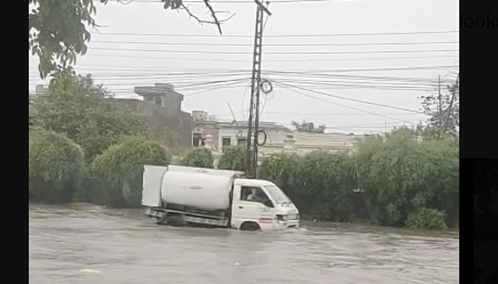 flood defences shield